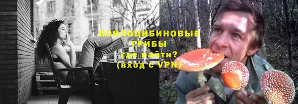 тгк Козельск
