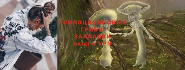 тгк Козельск