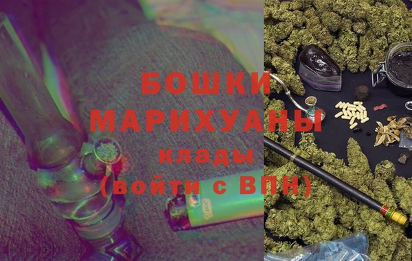 шишки Новосибирск
