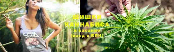 тгк Козельск