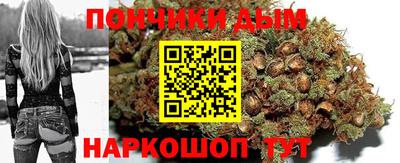 крисы Кандалакша