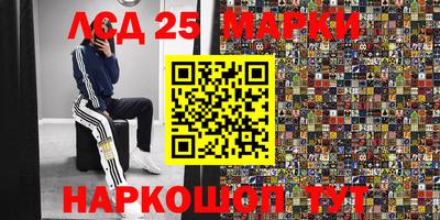 крисы Кандалакша