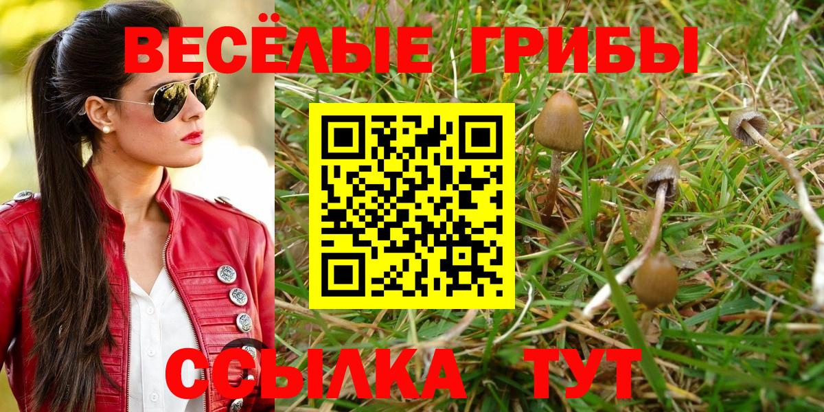 Псилоцибиновые грибы мухоморы  Вход с VPN  Назрань 