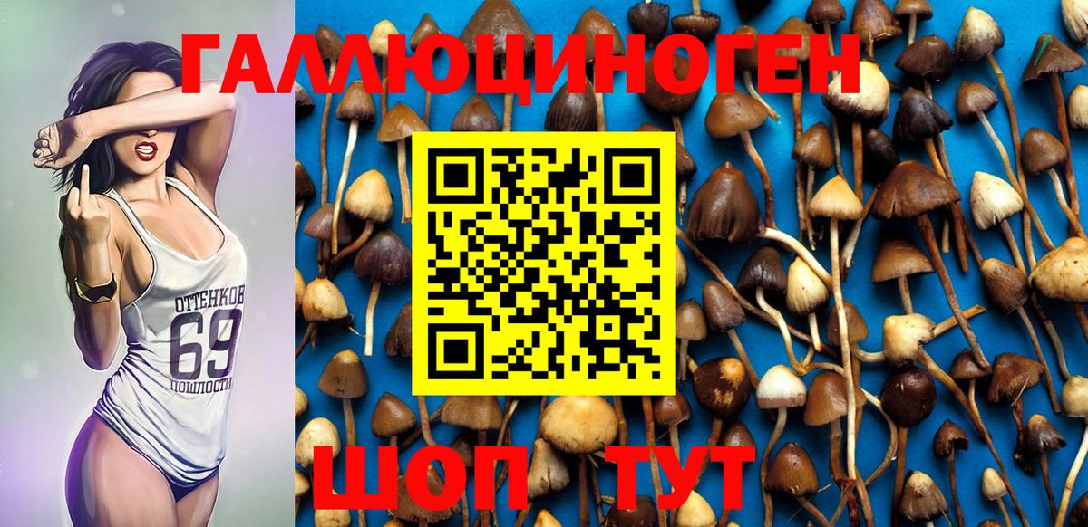 Псилоцибиновые грибы Psilocybine cubensis Назрань