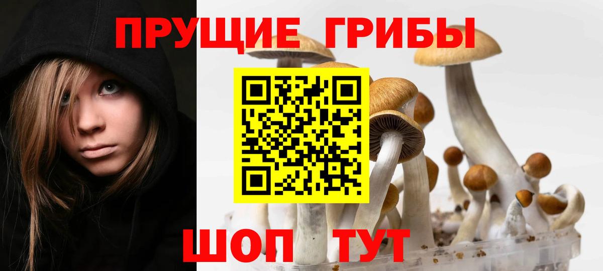 Псилоцибиновые грибы GOLDEN TEACHER  Назрань 